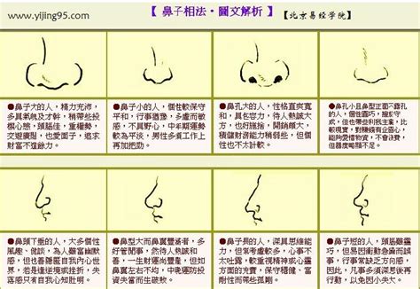 鼻子看相|鼻子看相图解